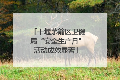 十堰茅箭区卫健局“安全生产月”活动成效显著