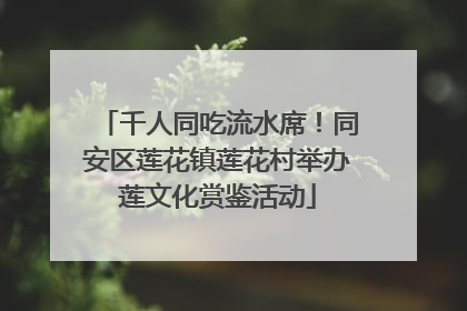 千人同吃流水席！同安区莲花镇莲花村举办莲文化赏鉴活动
