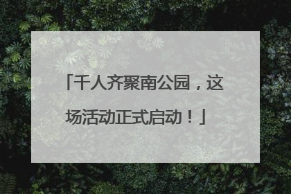 千人齐聚南公园，这场活动正式启动！