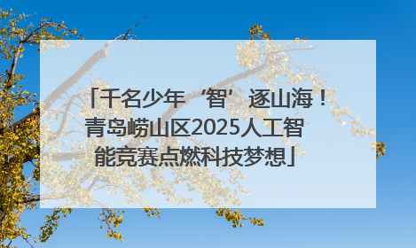 千名少年‘智’逐山海！青岛崂山区2025人工智能竞赛点燃科技梦想