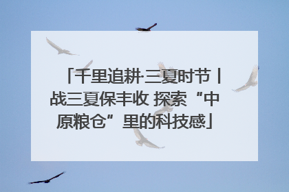 千里追耕·三夏时节丨战三夏保丰收 探索“中原粮仓”里的科技感