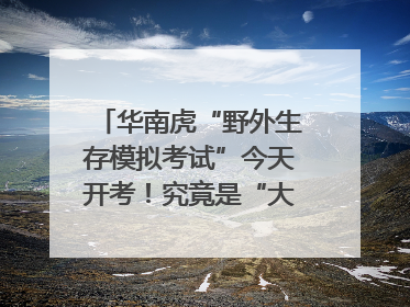 华南虎“野外生存模拟考试”今天开考！究竟是“大猫” 还是顶级猎食者？