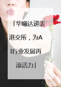 华曦达递表港交所，为AI行业发展再添活力