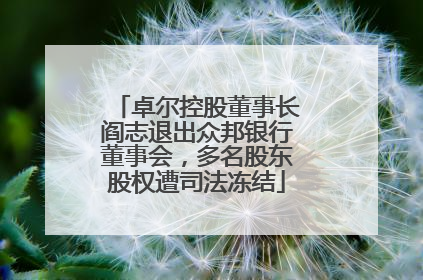 卓尔控股董事长阎志退出众邦银行董事会，多名股东股权遭司法冻结