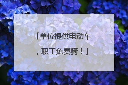单位提供电动车，职工免费骑！