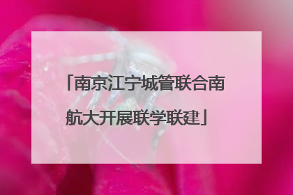 南京江宁城管联合南航大开展联学联建