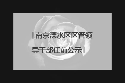 南京溧水区区管领导干部任前公示