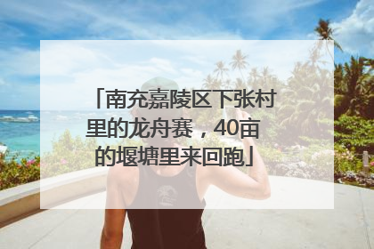 南充嘉陵区下张村里的龙舟赛，40亩的堰塘里来回跑