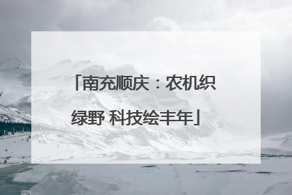 南充顺庆：农机织绿野 科技绘丰年