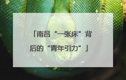 南昌“一张床”背后的“青年引力”