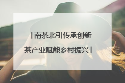 南茶北引传承创新 茶产业赋能乡村振兴