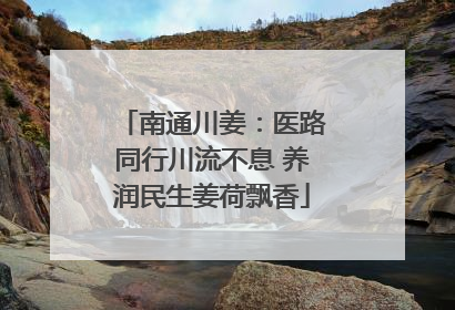 南通川姜：医路同行川流不息 养润民生姜荷飘香