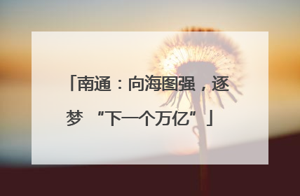 南通：向海图强，逐梦 “下一个万亿”