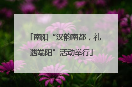 南阳“汉韵南都，礼遇端阳”活动举行