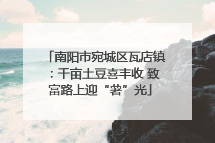 南阳市宛城区瓦店镇：千亩土豆喜丰收 致富路上迎“薯”光