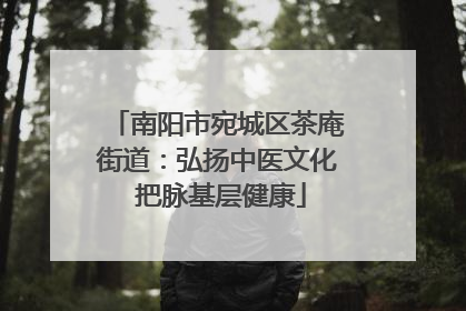 南阳市宛城区茶庵街道：弘扬中医文化 把脉基层健康