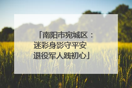 南阳市宛城区：迷彩身影守平安 退役军人践初心