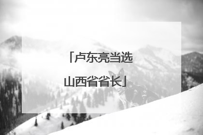 卢东亮当选山西省省长
