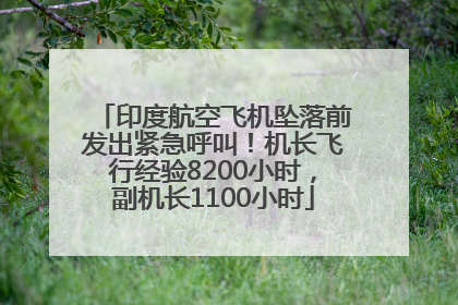 印度航空飞机坠落前发出紧急呼叫！机长飞行经验8200小时，副机长1100小时
