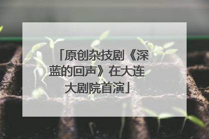 原创杂技剧《深蓝的回声》在大连大剧院首演