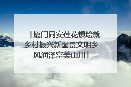 厦门同安莲花镇绘就乡村振兴新图景文明乡风润泽富美山川