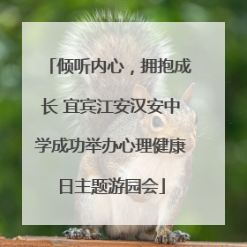 倾听内心，拥抱成长 宜宾江安汉安中学成功举办心理健康日主题游园会
