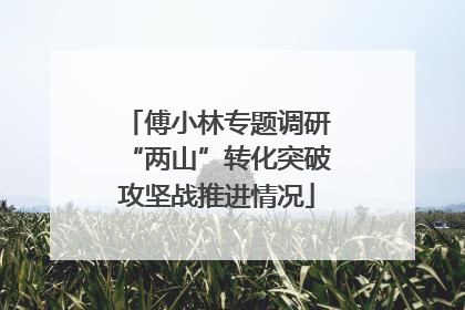 傅小林专题调研“两山”转化突破攻坚战推进情况