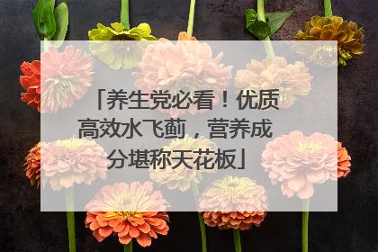 养生党必看！优质高效水飞蓟，营养成分堪称天花板