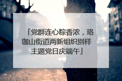党群连心粽香浓，珞珈山街道两新组织别样主题党日庆端午