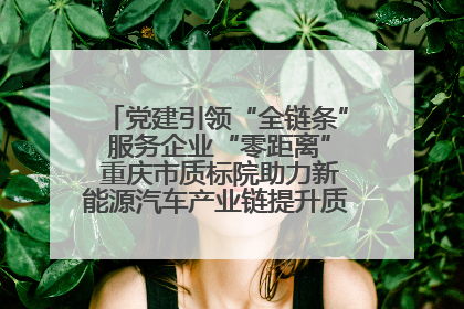 党建引领“全链条” 服务企业“零距离” 重庆市质标院助力新能源汽车产业链提升质量管理水平
