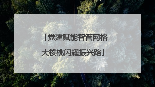 党建赋能智管网格 大樱桃闪耀振兴路