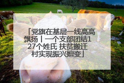 党旗在基层一线高高飘扬丨一个支部团结127个姓氏 扶贫搬迁村实现振兴嬗变