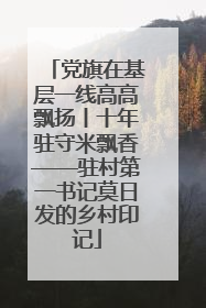 党旗在基层一线高高飘扬丨十年驻守米飘香——驻村第一书记莫日发的乡村印记