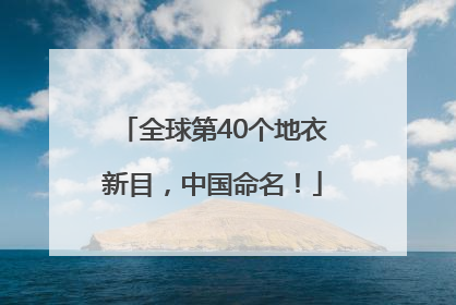 全球第40个地衣新目，中国命名！