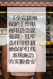 全省耕地保护工作电视电话会议强调：扛牢责任守住耕地保护红线 系统施治夯实粮食安全根基 王宁作出批示 王予波出席并讲话