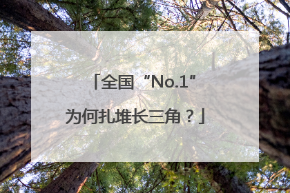 全国“No.1”为何扎堆长三角？