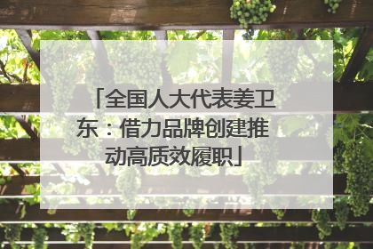 全国人大代表姜卫东：借力品牌创建推动高质效履职