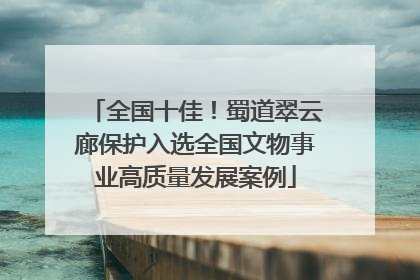 全国十佳！蜀道翠云廊保护入选全国文物事业高质量发展案例
