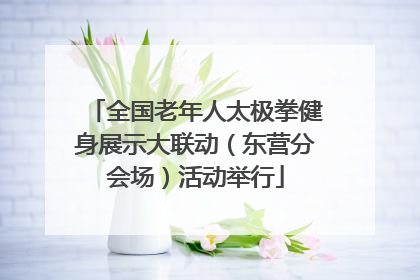 全国老年人太极拳健身展示大联动（东营分会场）活动举行