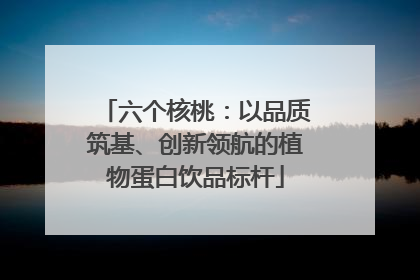 六个核桃：以品质筑基、创新领航的植物蛋白饮品标杆