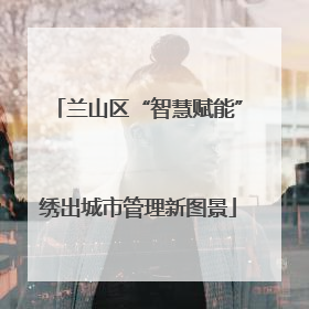 兰山区“智慧赋能”绣出城市管理新图景