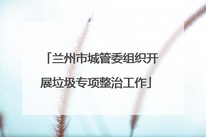 兰州市城管委组织开展垃圾专项整治工作
