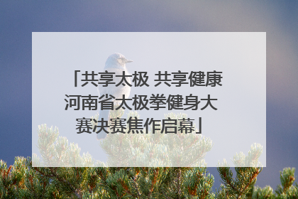 共享太极 共享健康 河南省太极拳健身大赛决赛焦作启幕
