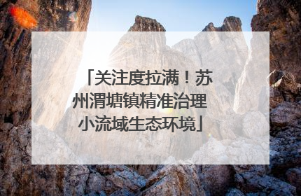 关注度拉满！苏州渭塘镇精准治理小流域生态环境