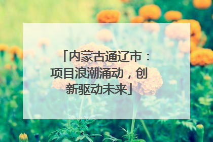 内蒙古通辽市：项目浪潮涌动，创新驱动未来