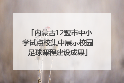 内蒙古12盟市中小学试点校集中展示校园足球课程建设成果