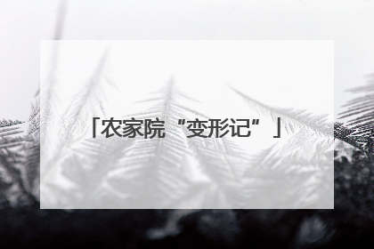 农家院“变形记”