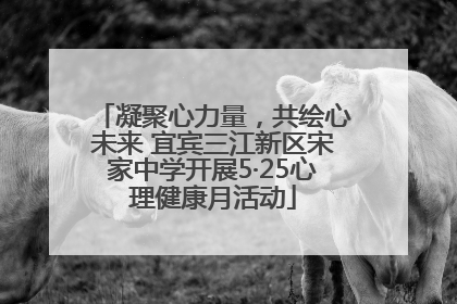 凝聚心力量，共绘心未来 宜宾三江新区宋家中学开展5·25心理健康月活动