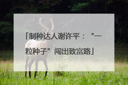 制种达人谢许平：“一粒种子”闯出致富路