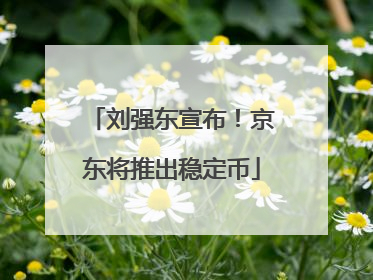 刘强东宣布！京东将推出稳定币